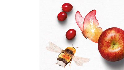 5 ways to help pollinators flourish